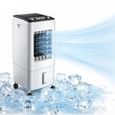 60W Climatiseur Mobile Rafraîchisseur d’Air, Réservoir 6L, 40dB Silencieux,3 Vitesses, fourni avec cristaux de glace