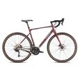 Vélo de course - FUJI - Jari 1.3 GRX 2x10 - Aluminium - Violet - Matte mahogani-0