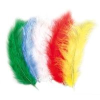 Lot 15 plumes duvetees multicolores 10-15cm