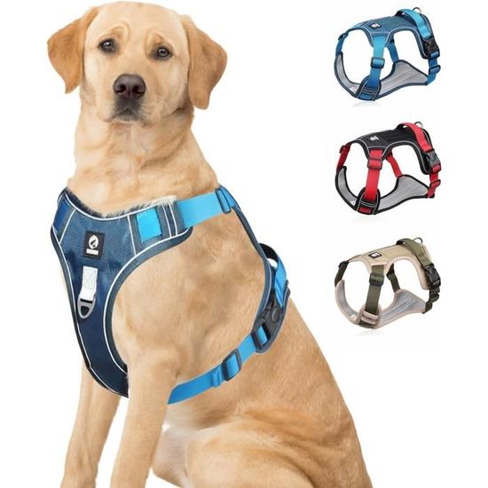 Harnais Réfléchissant R-FLECT Neo Viz - Tissu Fluorescent, Bandes 3 Cm - Réglable 4 Points - Pour Running Et Vélo Nuit - Homologué CE