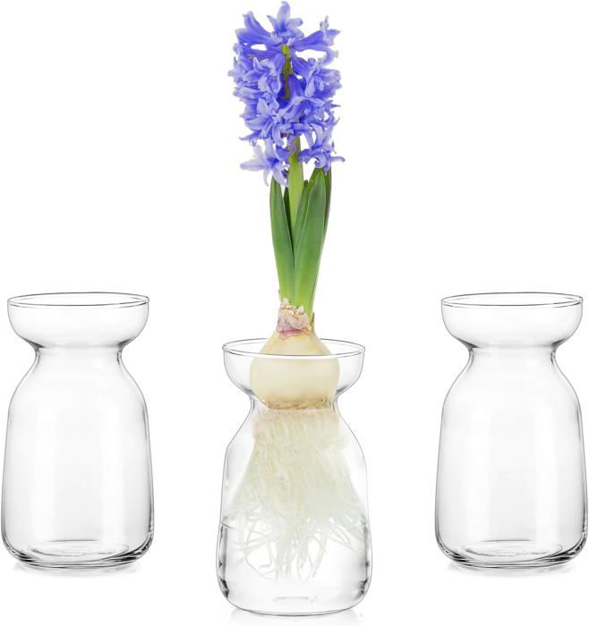 Vase Transparent Pour Faire Germer Un Noyau D'avocat - Décoration Intérieure élégante Et Design - 8