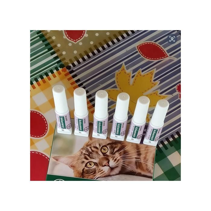 Meilleurs prix pour Solution Antipuce Chat & Lapin de plus de 4 kg – Prévention des infestations – Traitement anti puces – 6 x 08 ml （Pas de Boite）