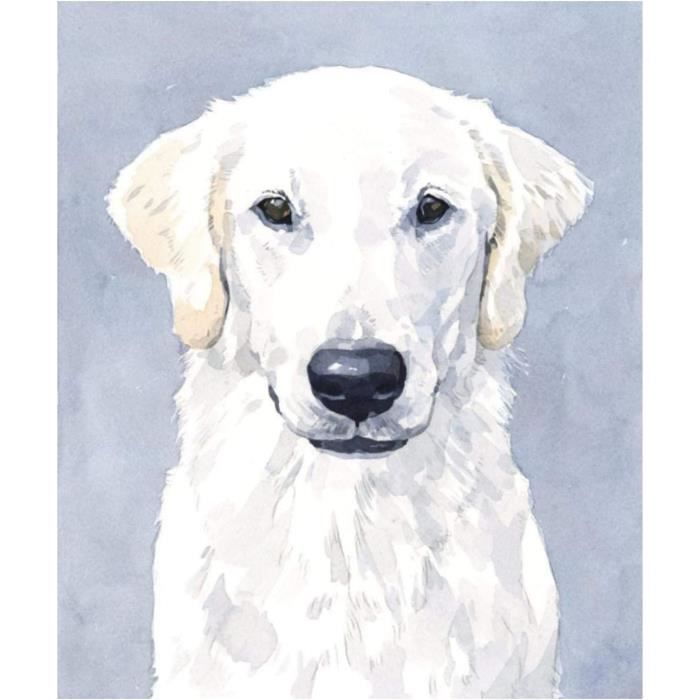 Kit De Peinture Florale Par Numéro – Peinture à L'huile à Faire Soi-même, Décoration D'intérieur - France