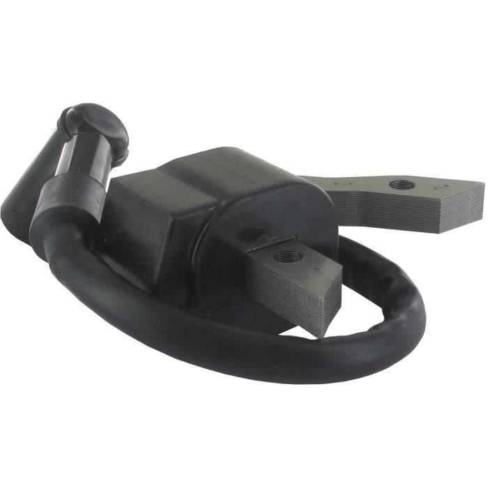 Bobine d'allumage pour moteurs ROBIN - SUBARU EX27, EX30