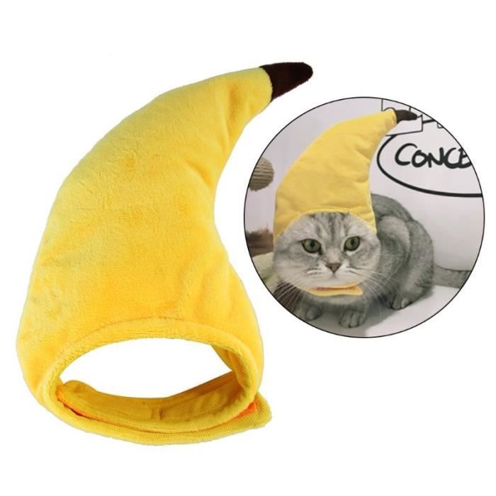 Creative Pet Chapeau Chat Teddy Petit Chien Chapeaux Festival Vacances Drole Chapeaux Banane Forme Casquette Coiffure Animaux Fo Cdiscount Pret A Porter Creative Pet Chapeau Chat Teddy Petit Chien Chapeaux Festival Vacances Drole Chapeaux Banane Forme Casquette Coiffure Animaux Fo Cdiscount Pret A Porter