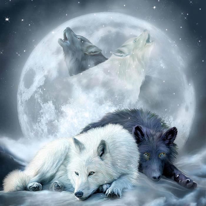 Bimkole 5d Diamond Painting Kit Completo Fai Da Te Animale Tigre