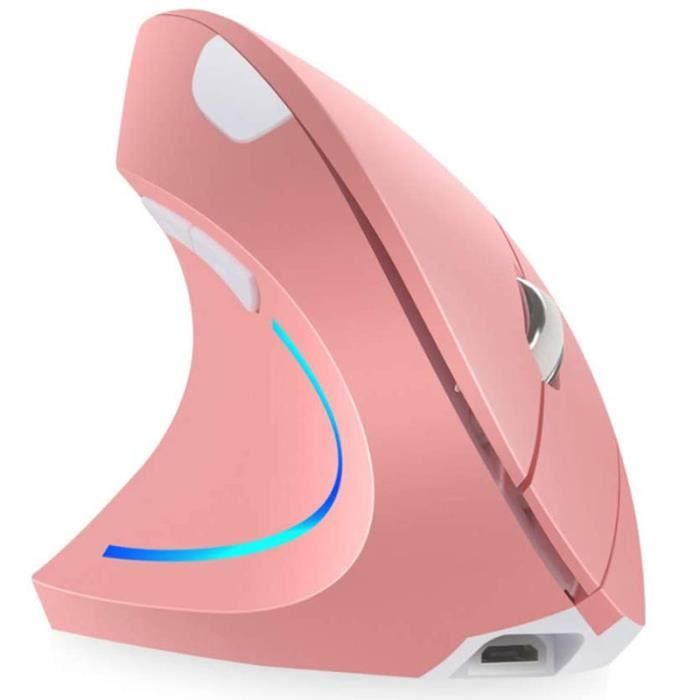 Souris Verticale Ergonomique Rechargeable Sans Fil 24 GHz pour Droitier avec 4 DPI RéGlables 800-1200-1600-2400