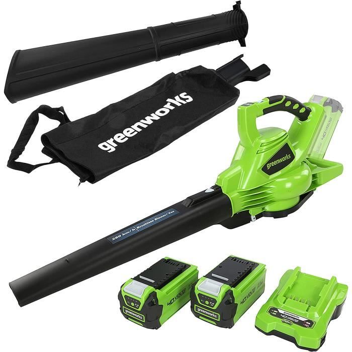 Greenworks GD40BVK2X Aspirateur Souffleur Sans fil de Feuilles à