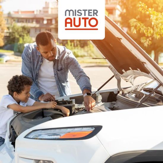 Feu Arrière Droit TarosTrade Pour Citroën C15 1984-2005 - Pièce Auto D'origine Alternative