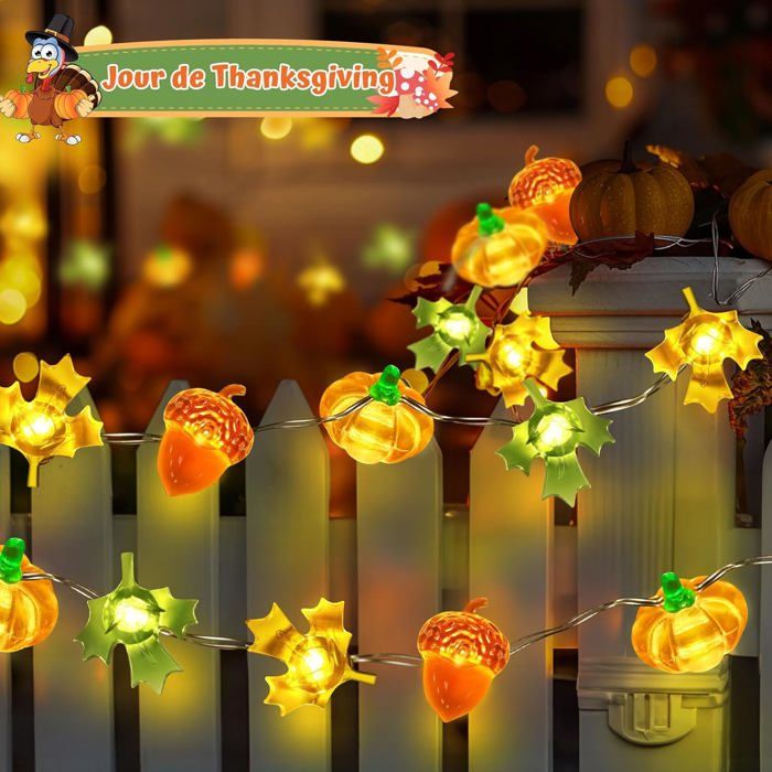 Guirlande Lumineuse De Citrouille D'automne à Piles Avec