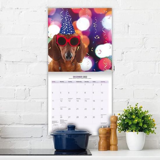 Calendrier Teckel 2023 Calendrier 2022 Motif Teckel 592 - Cdiscount Beaux-Arts Et Loisirs Créatifs