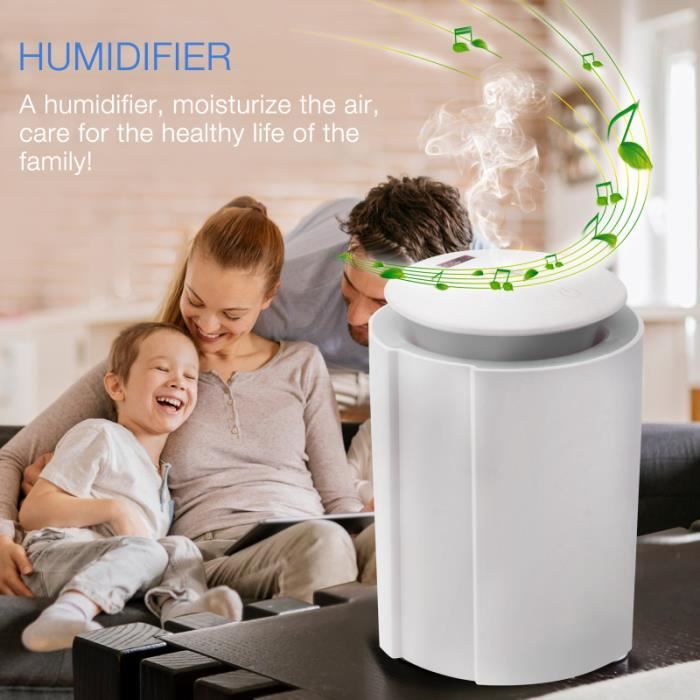 Humidificateur de pulvérisation d'air USB 260ml humidificateur - saturateur  radiateur purete de l'air