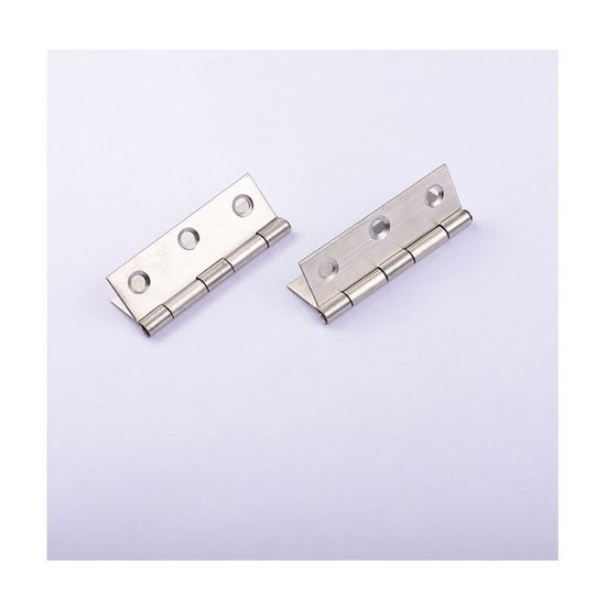 Charniere Piano 30Cm Charniere Inox Charnière Plate Avec Vis Pour