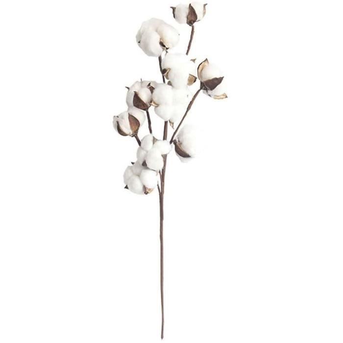 FLEUR SECHEE Populaire pour toutes sortes doccasions pour dcorer votre table thire entre chambre salon cuisine ou espace de bure33