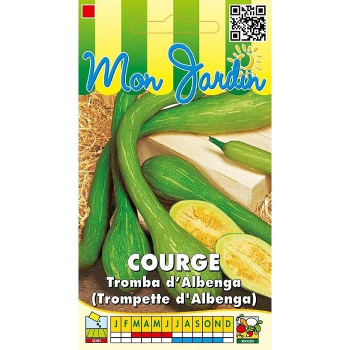 Graine - Semence - Courge Tromba dAlbenga