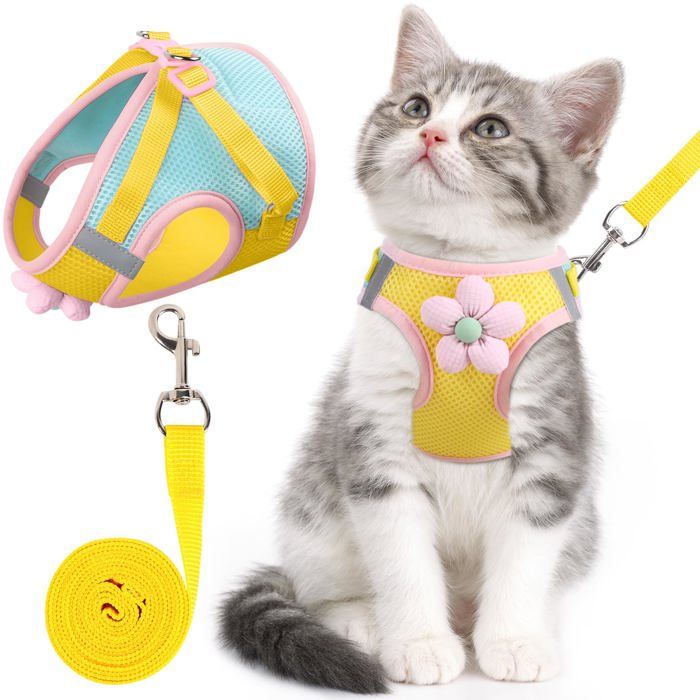 Ensemble harnais et laisse pour chat - SONGHUI - Taille XS - Réglable - Maille respirante - Bandes réfléchissantes