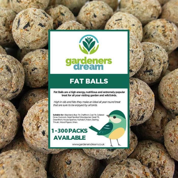 Boules de graisse de suif(50) Friandises énergétiques pour oiseaux sauvages