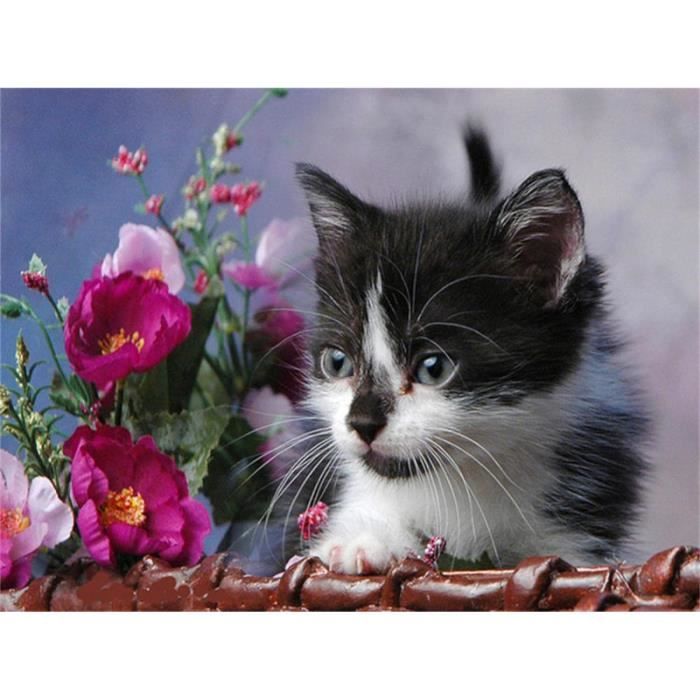 Soupape Et Régulateur Pour Système Propane – Avec Tuyau Gaz 60 Pouces, Thermocouple 600mm, Pour Cheminée Ou Appareil Gaz