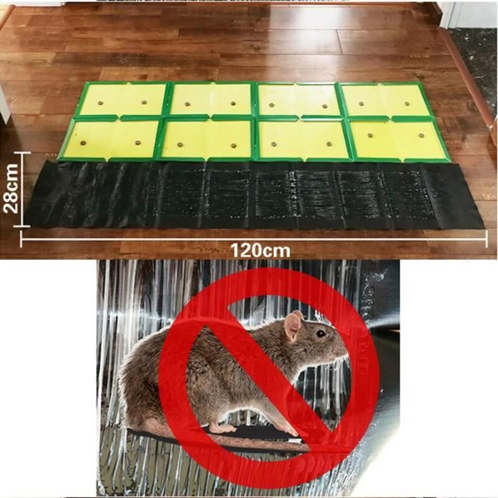 Kit De Mangeoire à Graisse Pour Oiseaux – Piège à Souris Et Rat Humain CO2 – Acier Inox