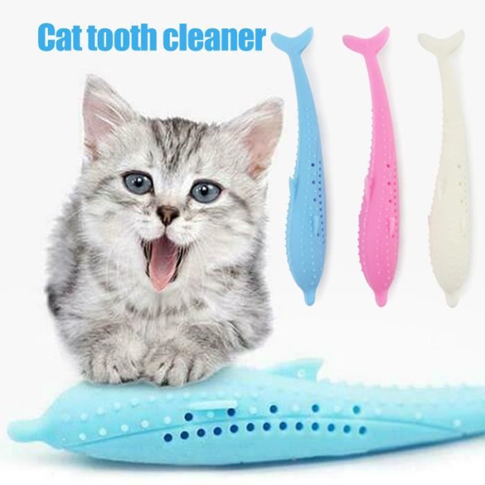 Chat Brosse A Dents Jouet En Forme De Poisson Molaire Baton Catnip Saveur Dents De Chat Jouet De Nettoyage Blanc Cdiscount