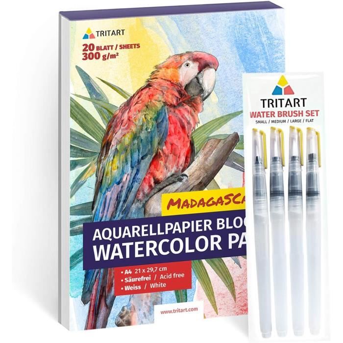 Tritart Set de pinceaux à Eau Professionnels avec réservoir pour