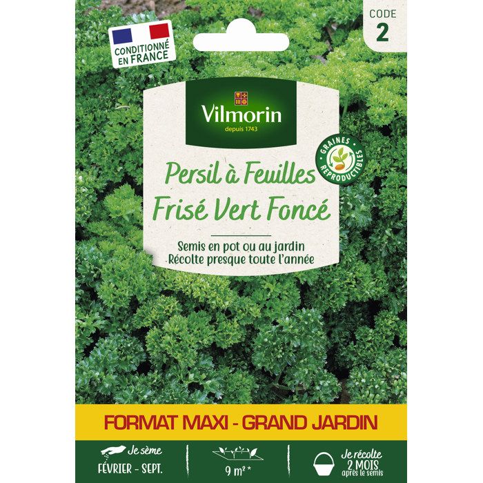 Graine Créative – Pot De Sable Fin Coloré Vert Foncé 45 G Pour Tableaux Et Bouteilles Décoratives