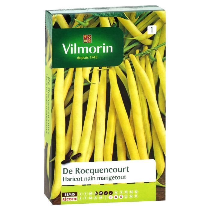 VILMORIN Haricot Rocquencourt Sachet de graines