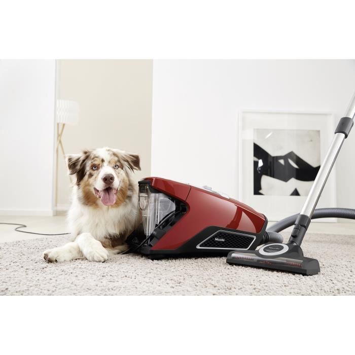 MIELE Blizzard CX1 Cat&Dog PowerLine Rouge - Aspirateur Sans Sac -  Cdiscount Electroménager