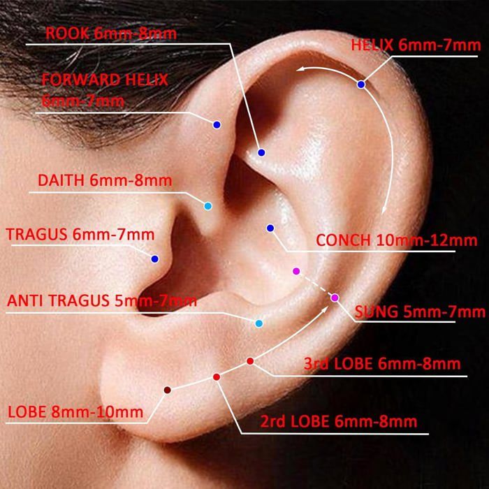 AROWRO Anneau De Nez Double En Titane G23 Doré – Septum, Conque, Hélix, Daith, Tragus, Rook – 16G/18G/20G, Fermeture Charnière Facile