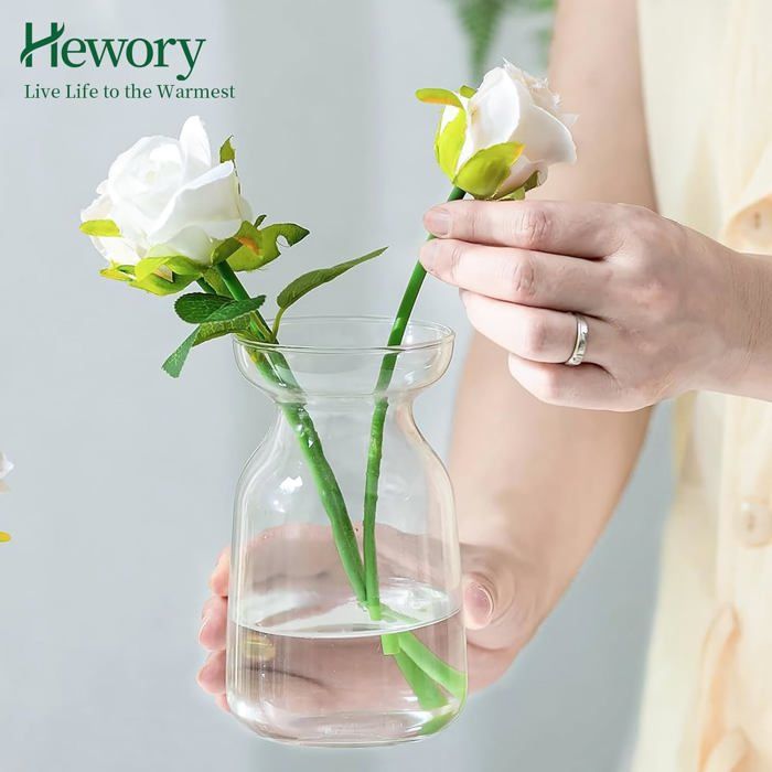 Vases De Germination Pour Avocat - Lot De 4 En Verre Transparent, Hauteur 10 Cm, Pour Graines Et Bulbes - 1