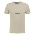 T-shirt Taupe Homme Calvin Klein Jeans Institutional-0