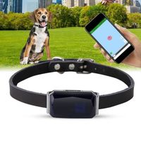 VBESTLIFE Collier de suivi pour animaux de compagnie Collier étanche pour chien de chiot Mini Tracking Anti-Lost GPS Tracker (bleu)
