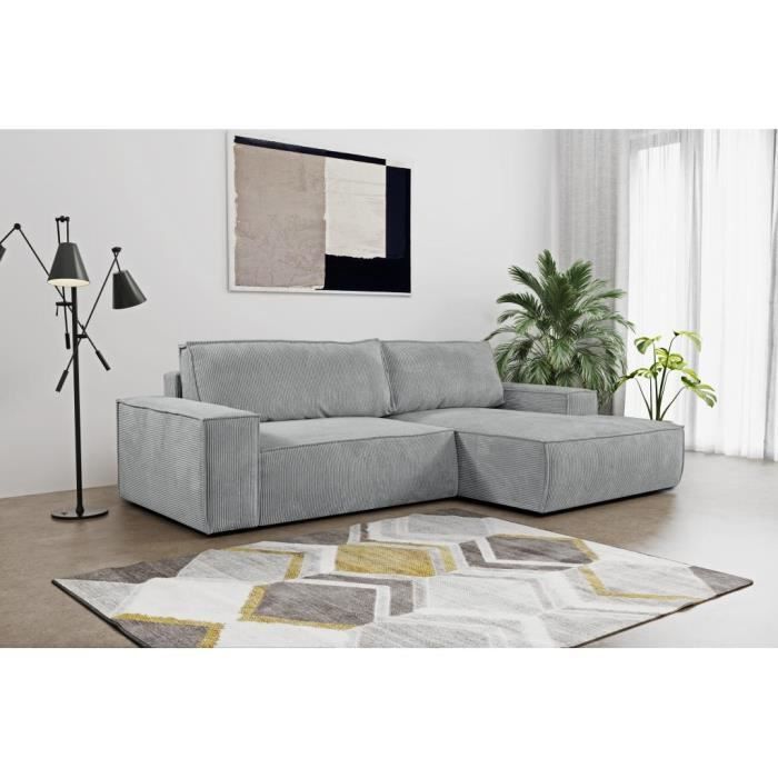 Canapé d'angle Gris Velours Design Confort