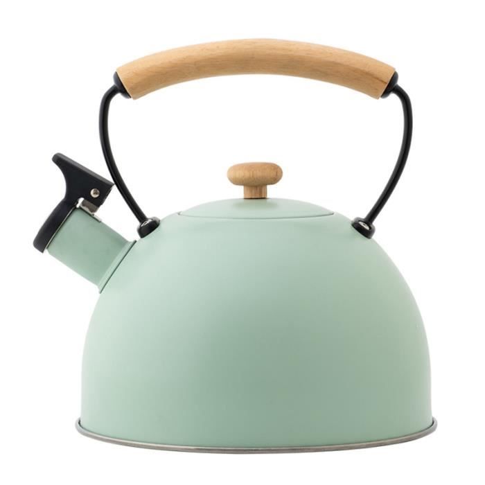 1 pc bouilloire bouillante théière durable bouillie à thé en acier inoxydable BOUILLOIRE ELECTRIQUE