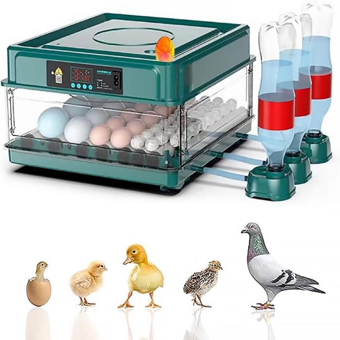 Meilleurs prix pour Couveuse Oeuf Automatique pour 36 Oeufs avec Contrôle de Température et Ajout Automatique d'eau pour Oufs de Poule, Canards, Caille