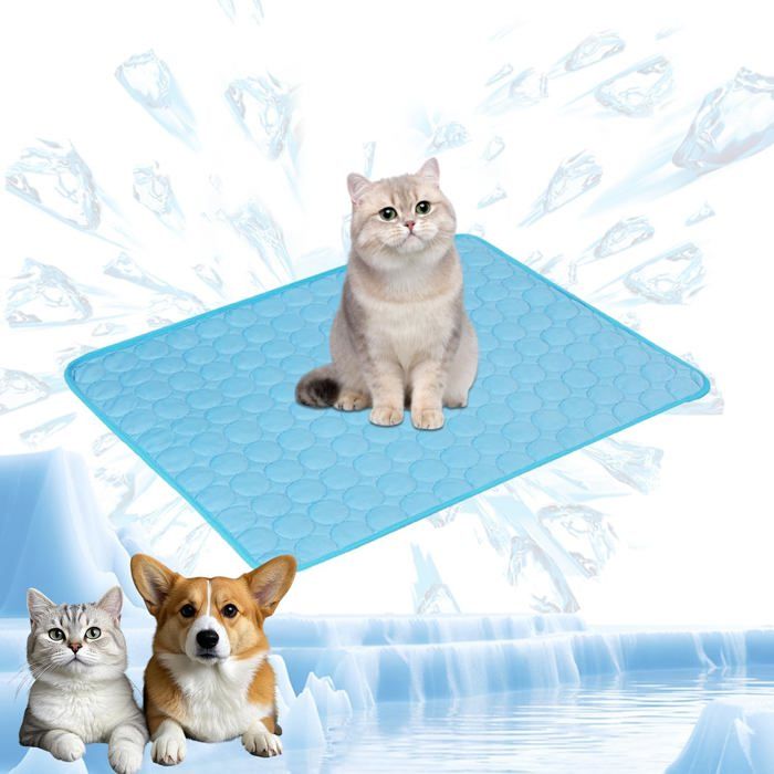 Tapis rafraîchissant pour chien et chat M 60x50cm - Tapis frais lavable en machine pour animaux - Coussin auto-refroidissant Bleu