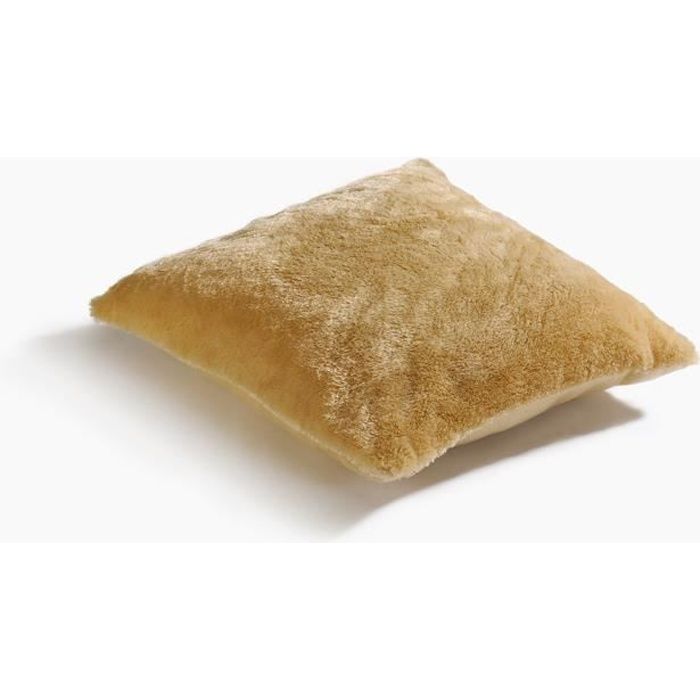 Coussin - Loup Beige - 40x40cm - Déhoussable - Double face - Doux