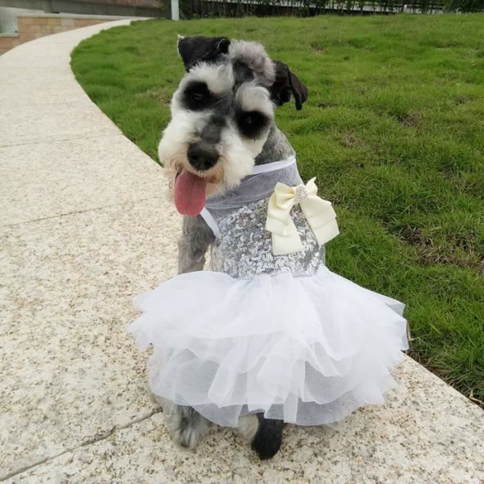 Robe pour chien best sale mariage