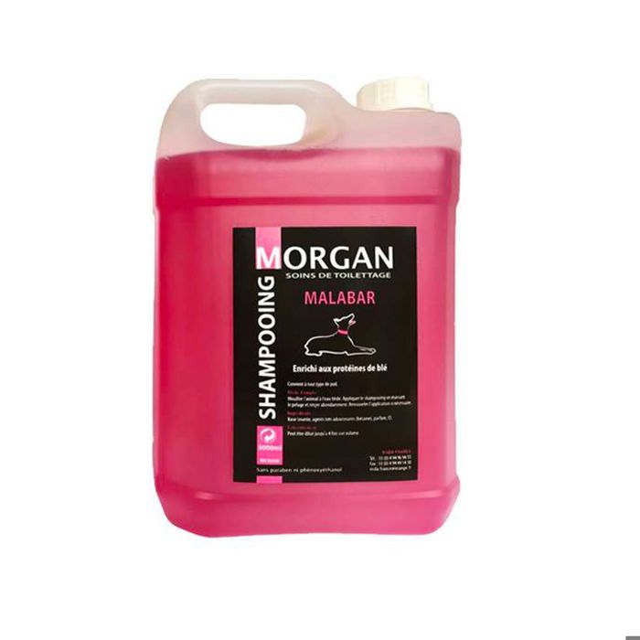 Comparer les prix de Shampoing - MORGAN - Malabar - 5 litres - Protéiné - Usage fréquent