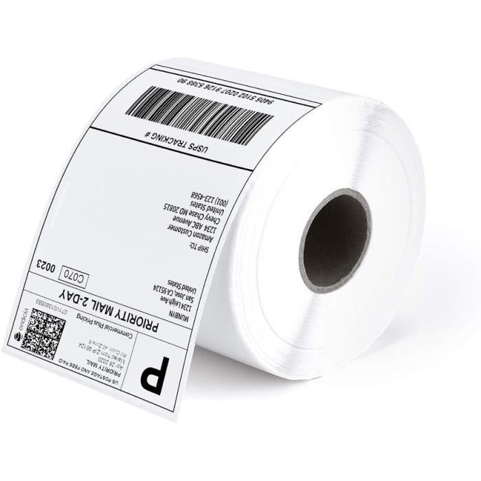 LVYUAN Lot De 500 Étiquettes Expédition Thermiques DHL 100x150mm Imperméables