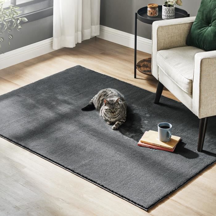 Tapis De Salon Doux Et Antidérapant BEIMO – Poils Ras 6 Mm, Lavable Machine, 80x150 Cm, Couleur Anthracite - 3