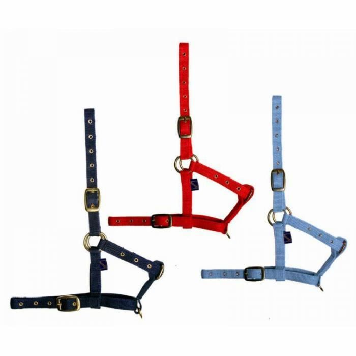 Comparer les prix de Licol pour cheval poulain en nylon Tattini - rouge - TU