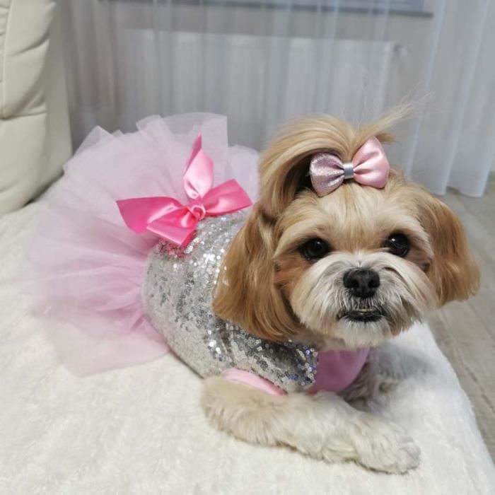 Vêtement clearance chihuahua luxe