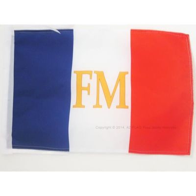 DRAPEAU ROYAUME D'ARAUCANIE ET DE PATAGONIE AVEC ARMES 45x30cm - PAVILLON NOUVEL