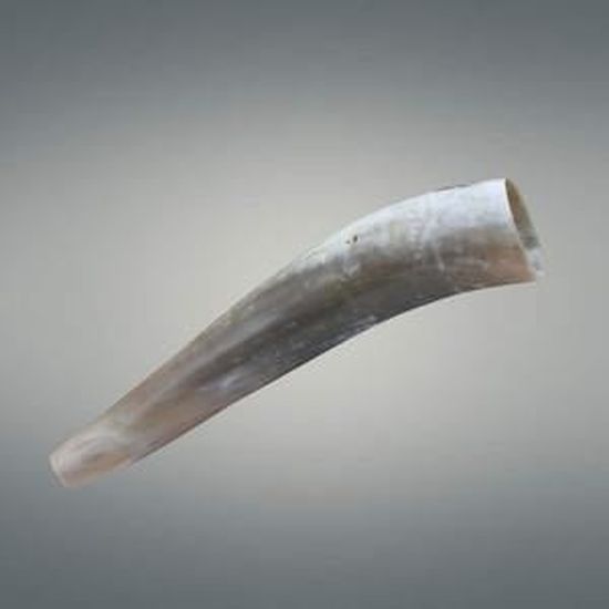 Corne De Boeuf Et Appeau A Cerf 40cm Prix Pas Cher Cdiscount