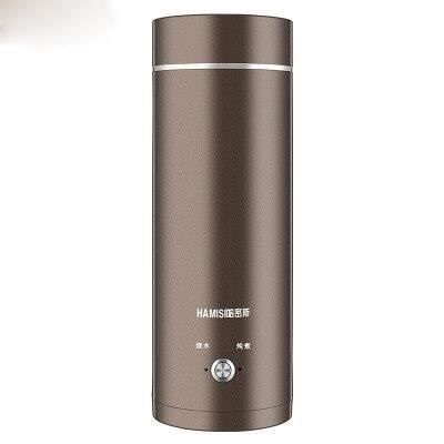 Mini bouilloire électrique eau chaude chaudière thermique voyage en acier inoxydable thé café lait bouillant tasse porta*HH5229
