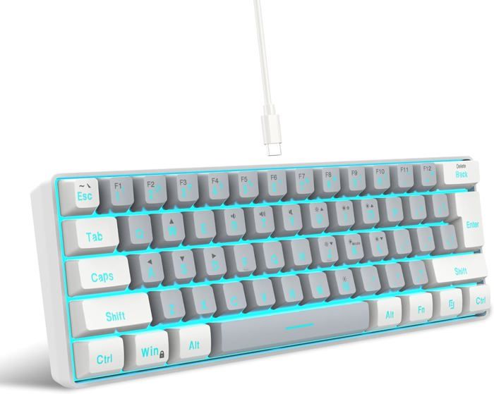 Clavier Gaming 60% QWERTY Blanc et Gris Filaire RGB Rétro-éclairé Clavier Gaming Mini Ultra-Compact à 61 Touches pour Gamer