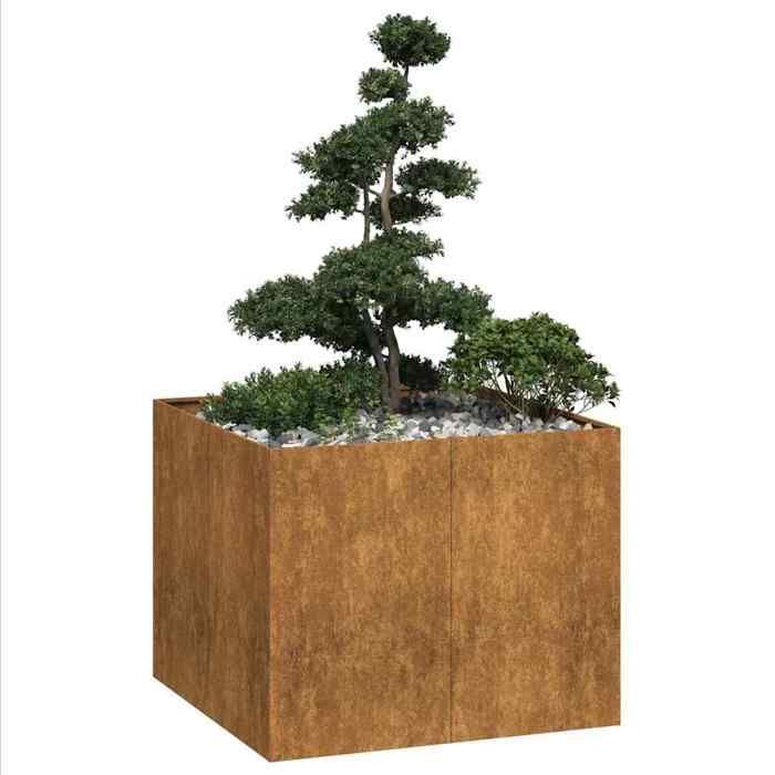 Vidaxl Jardinière rouillé 100x100x80 cm acier inoxydable pot de fleurs support de plantes lit surélevé support de 860828