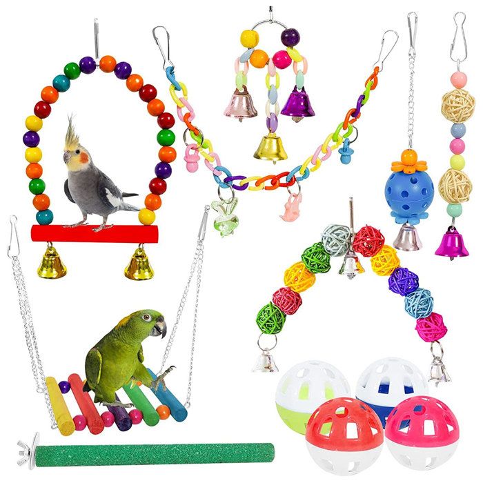 Jouets colorés pour perruches : balançoire hamac échelle accessoires cage oiseaux Label