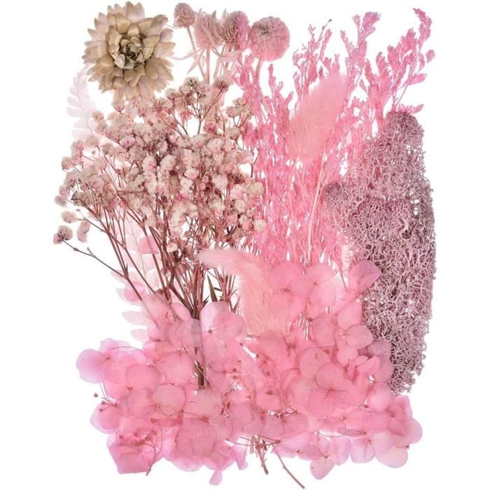 Lot De Fleurs Pressées Séchées Naturelles - Pour Résine époxy, Bijoux DIY, Déco, Scrapbooking (Variété B)
